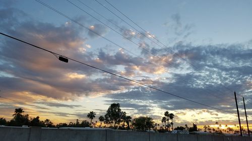 Birds flying over trees against sky during sunset