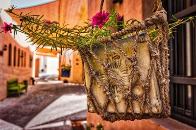 Close-up of flowers in house