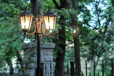 Low angle view of illuminated lamp against trees