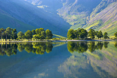 Scenic view of lake by trees against sky