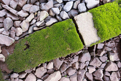 High angle view of stone wall