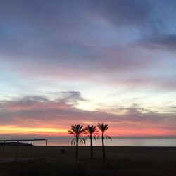 Silhouette trees on beach against sky during sunset