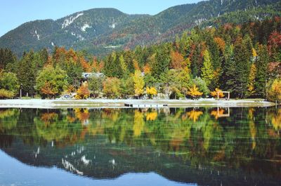 Colorful autumn forest in alps reflected in beautiful green lake jasna.