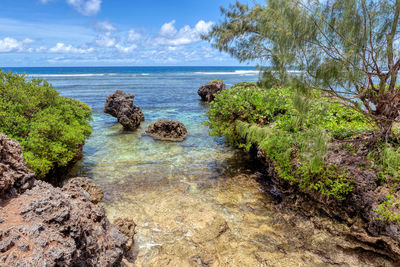 Scenic view of sea against sky