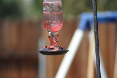 Close-up of drink on table