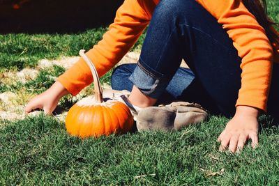 Cropped person with pumpkin on grass