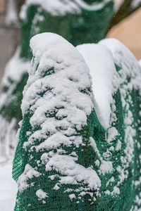 snow