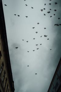 flying