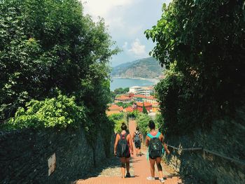 Rear view of people amidst trees on steps in town