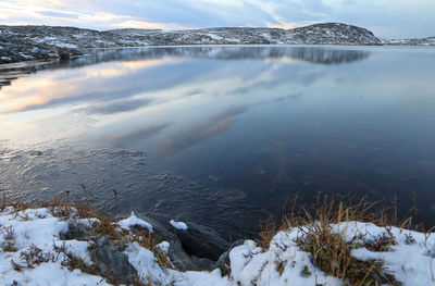 Scenic view of frozen lake by snow covered plants