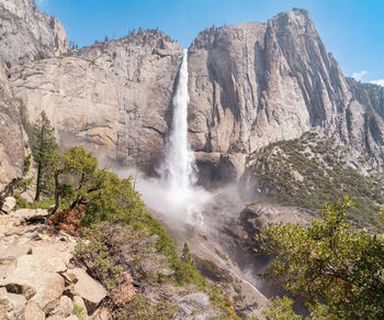 Scenic view of waterfall in forest