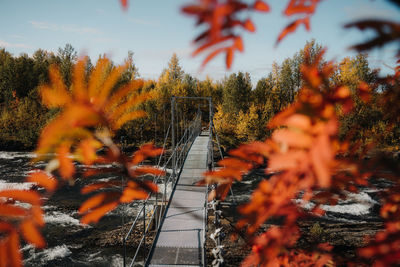 Autumn trees by railroad tracks against sky