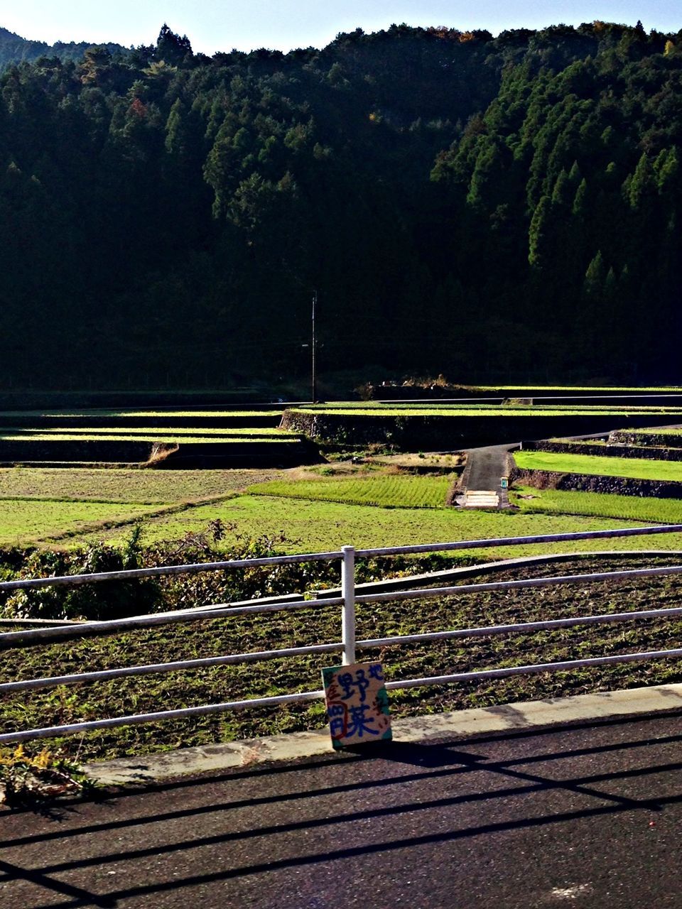 transportation, mode of transport, tree, land vehicle, road, rail transportation, day, green color, railroad track, outdoors, travel, growth, field, connection, train - vehicle, on the move, no people, journey, street, high angle view