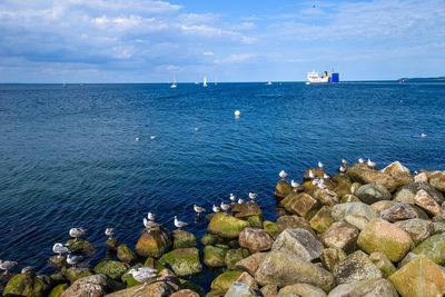 Scenic view of sea against sky