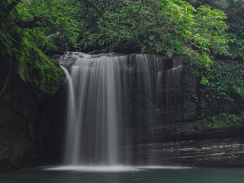 Scenic view of waterfall in forest
