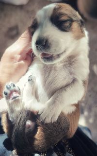 Midsection of person holding stick