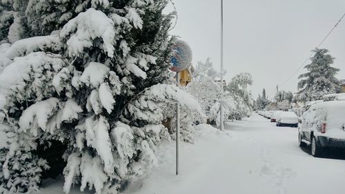 Snow covered trees against sky