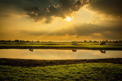 Scenic view of field against sky during sunset