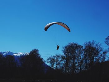 Low angle view of hot air balloons