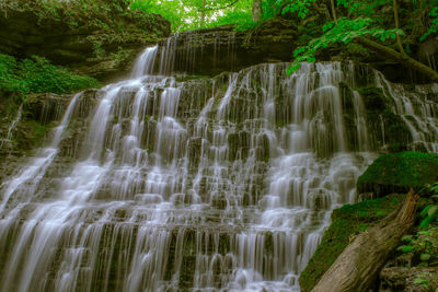 Scenic view of waterfall in forest