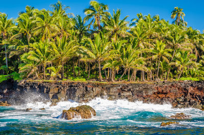 Scenic view of hawaii coast