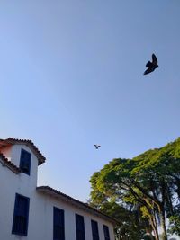 Low angle view of bird flying over building