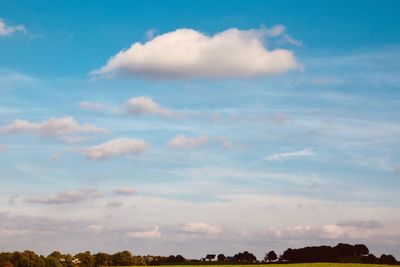 Low angle view of trees against sky