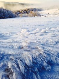 Scenic view of snow covered landscape