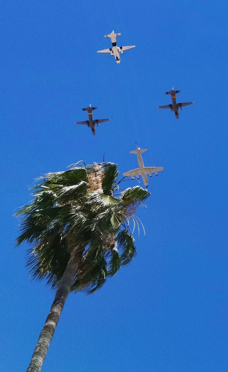 sky, blue, low angle view, air vehicle, mode of transportation, clear sky, no people, flying, airplane, transportation, mid-air, nature, day, on the move, motion, copy space, plant, outdoors, travel, tree, plane