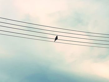 Low angle view of power lines against sky