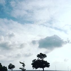 Low angle view of trees against cloudy sky