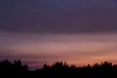 Silhouette trees against sky at sunset