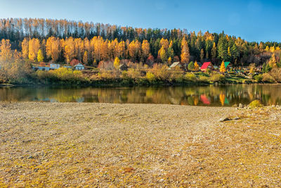 Scenic view of lake by trees during autumn
