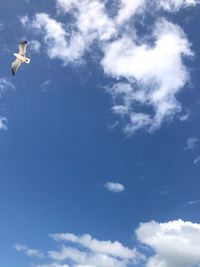 Low angle view of seagulls flying in sky