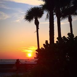 Silhouette of palm trees on beach