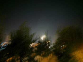 Trees against sky at night