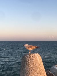 Scenic view of rocks in sea against sky