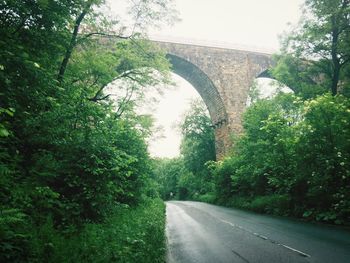 Road passing through trees