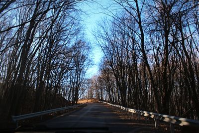 Empty road along trees