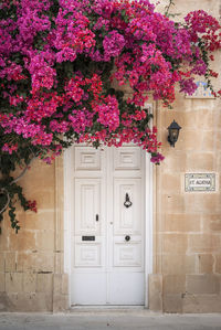 Closed door of building