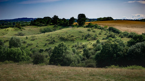 Scenic view of farm against sky