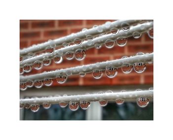 Close-up of water drops on leaf