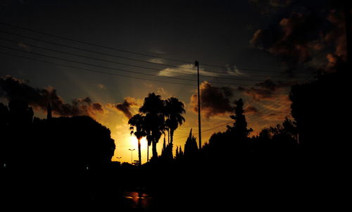 Silhouette of palm trees against dramatic sky