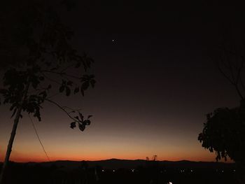 Silhouette trees against sky at night