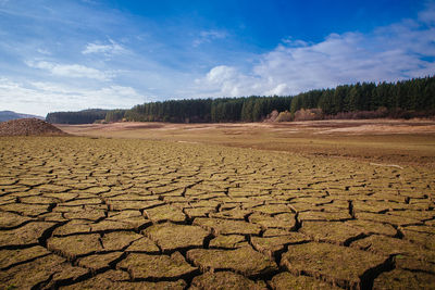 Surface level of barren land against sky