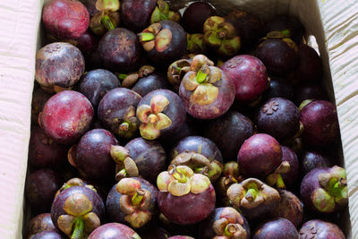 Bulk of mangosteen