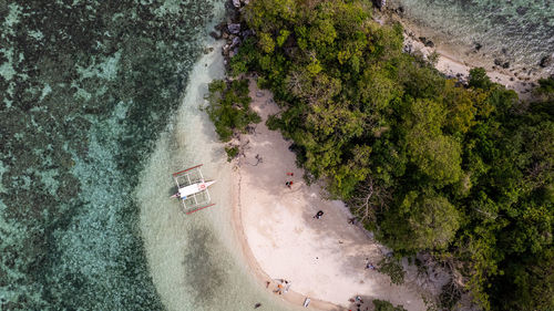 In the photo, a vibrant tropical boat near a beautiful beach or rocky shore.