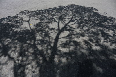 High angle view of shadow on street during winter