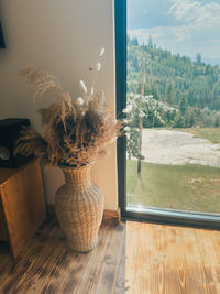 Close-up of potted plant on table