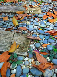 High angle view of stones on footpath